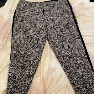 Plus Size Women’s Dress Pants